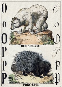 Letter O Beer; P Stekelvarken. Gravure in "Alphabet des animaux sauvages". 9e Serie. Beeld van Epinal, Pellerin, drukker-uitgever, circa 1870. Gravures op hout, gestencild. 16 pagina