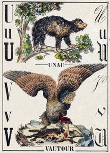 Letter U Unau (luiaard); V Gier. Gravure in "Alphabet des animaux sauvages". 9e Serie. Beeldmateriaal van Epinal, Pellerin, drukker-uitgever, circa 1870. Houtsneden, gestencild. 16 pagina