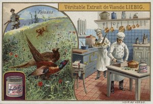 Liebig kaart met fazanten door French School