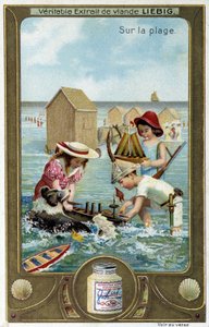 Liebig chromolithografie serie 