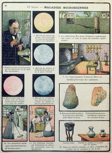 Louis Pasteur (1822-95) en bacteriële ziekten, uit Les Sciences Physiques et Naturelles, Parijs, 1908 door French School