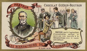 Louis Pasteur, Franse chemicus en microbioloog door French School
