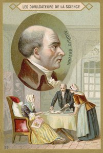 Luigi Galvani door French School