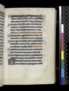 Uit de Psalter en Uren van Isabella van Frankrijk