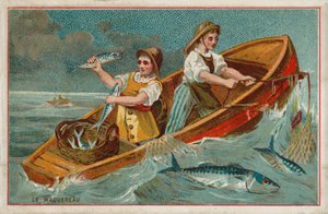 Mackerel (chromolitho) door French School