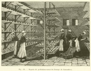 Camembert kaasverfijningswinkel