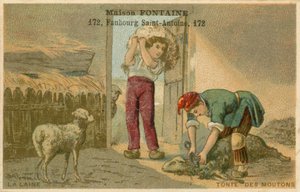Maison Fontaine handelskaart, schapen scheren