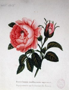 Marie-Louise (1791-1847) met haar zoon de Koning van Rome (1811-32) door French School