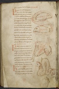 Verzameling werken over computus en astronomie, Royal MS 13 A XI