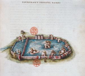 Ms 3243 De baden van Bourbon l