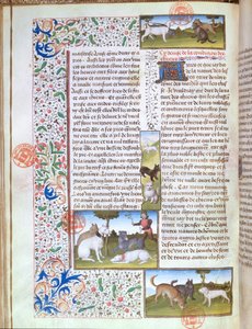 Jachthonden, uit het Livre de la Chasse door Gaston Phebus de Foix door French School
