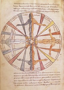 Ms 422 fol.6v Wiel van de seizoenen en maanden, uit De Natura Rerum door St. Isidorus van Sevilla