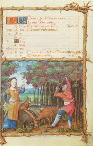 Ms 438 De Maand November: Eikels Verzamelen, uit een Getijdenboek, 1490 door French School