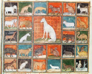 Ms 993 fol.254v De eigenschappen van dieren: De zoogdieren, uit Le Livre des Proprietes des Choses door Jean Cordichon door French School