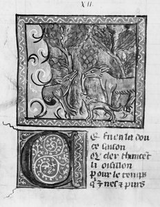 Ms Fr 1580 De vos, de wolf en de hond, uit Le Roman de Renart door French School