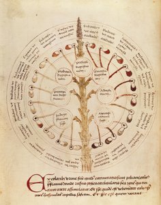 Tabel voor urineanalyse, uit Petit Traite d