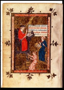 Ms. Lat. 14023 fol. 769 v. Antidoteles uit Canon van de Geneeskunde door Avicenna (Ibn Sina) (980-1037), vertaald door Gerard de Cremone (1114-87) ca. 1320