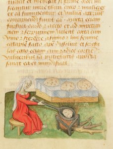 Ms. Tractatus de Herbis door Dioscorides, fol.142r Broodjes Bakken door French School