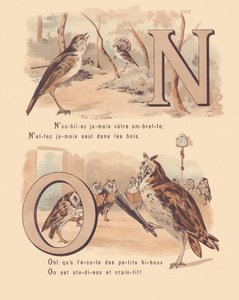 Nachtegaal, huwelijks, uil, orthografie