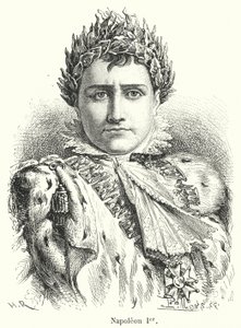 Napoleon I door French School