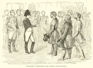 Napoleon ontvangt de Poolse delegatie door French School