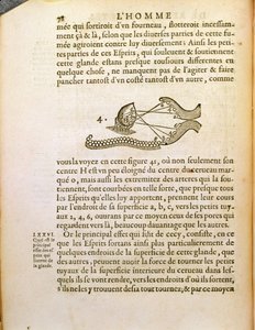 Optisch diagram, uit De Homine Figuris door René Descartes (1596-1650) gepubliceerd in Den Haag, 1662 door French School