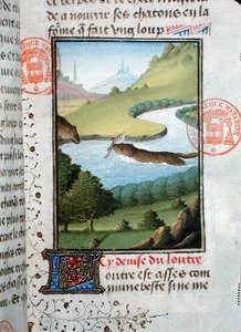 Otter die een vis vangt, uit het Livre de la Chasse door Gaston Phebus de Foix door French School