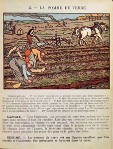 Pagina uit een schoolboek die de teelt van de aardappel illustreert door French School