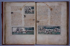 Pagina