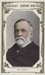 Pasteur door French School