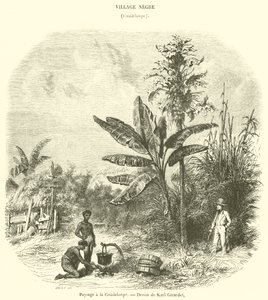 Landschap in Guadeloupe