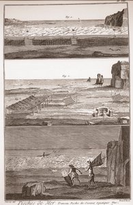 Peche de Mer - Trameau - Waterbird Fishing - 