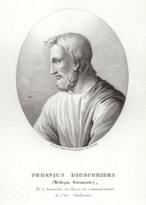 Pedanius Dioscorides door French School
