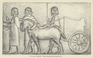 Persepolis, mannen die paarden leiden die een wagen trekken