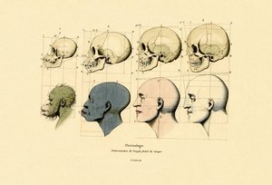 Frenologie, 1833-39