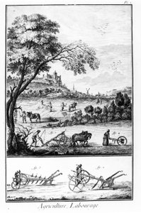 Plaat van de Encyclopedie van Diderot en Alembert: Landbouw en Ploegen. 18e eeuw door French School