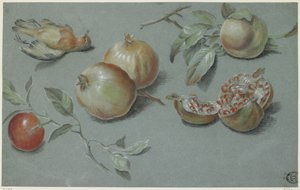 Granaatappels en dode vogel (begin 19e eeuw) door French School