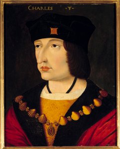 Portret van Karel VIII (1470-1498) Koning van Frankrijk zoon van Lodewijk XI