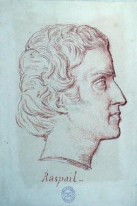 Portret van Francois Vincent Raspail (1794-1878) door French School