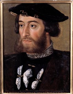 Portret van Guillaume de Bellay, heer van Langey (1491-1543) door French School