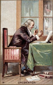 Portret van Louis Jean Marie Daubenton (1716 - 1800), Franse natuurkundige door French School