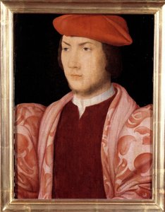 Portret van Odet de Coligny, kardinaal van Chatillon in 1534 (kleinzoon van Gaspard de Coligny, Maarschalk van Frankrijk en broer van Admiraal Gaspard de Coligny) (1517-1571) rond 1535 Schilderij van de Franse School van de 16e eeuw. Versailles