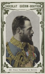 Prins Ferdinand van Beieren door French School