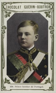 Kroonprins van Portugal