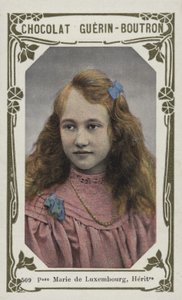 Prinses Marie van Luxemburg, Erfgename