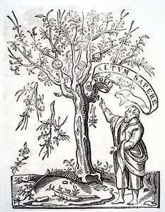 Drukkers embleem van Robert Estienne, Parijs, 1526 door French School
