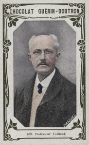 Professor Vaillant door French School