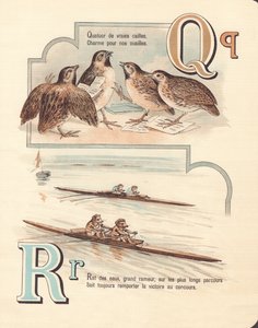Q A: Kwartel, kwartet, rat, race