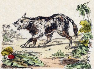 Quachy (soort leeuwenhond uit Zuid-Amerika). Gravure in "Alphabet des animaux sauvages". 9e Serie. Beeldvorming van Epinal, Pellerin, drukker-uitgever, circa 1870. Houtsneden, gestencild. 16 pagina
