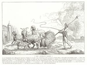 Zeldzame dieren
